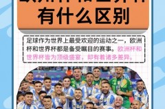 欧冠是杯赛吗 - NBA新闻分类下的文章配图