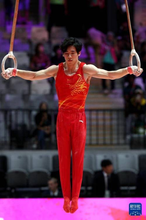 男子体操个人全能参赛选手