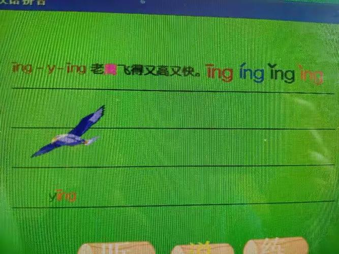 老鹰的拼音及声调