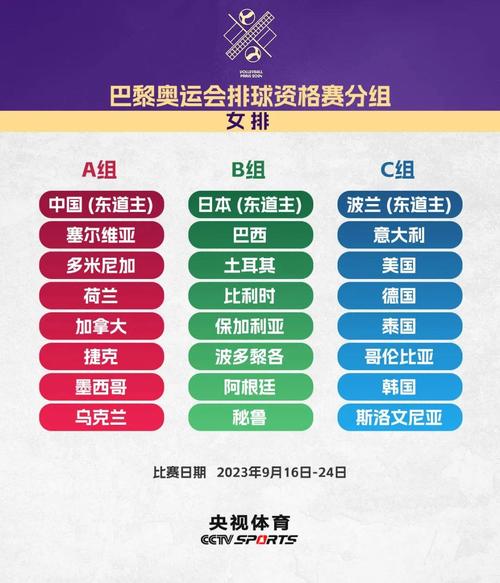 奥运会排球分为哪两个项目