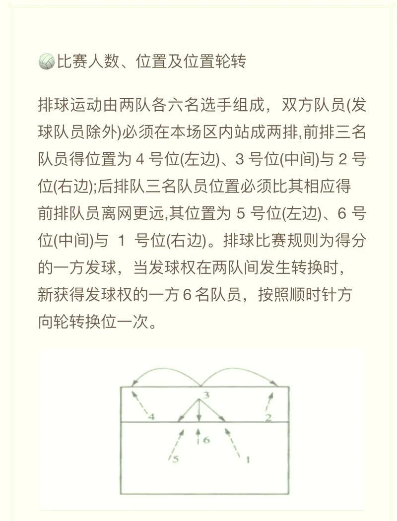 排球比赛暂停时场上队员应站在什么地方