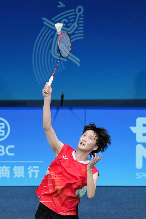 2018亚运会 羽毛球