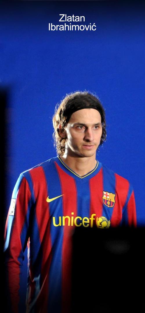 伊布拉西莫维奇十佳球