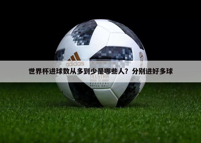 2010世界杯比利亚进了几个球