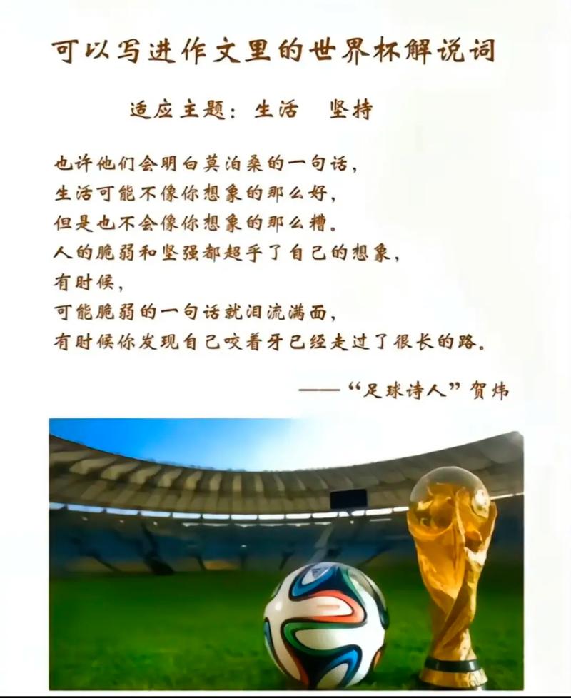 历届世界杯口号