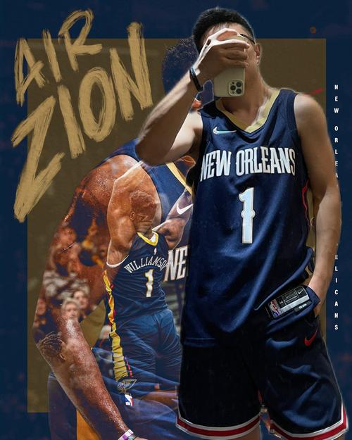 胖虎nba个人资料