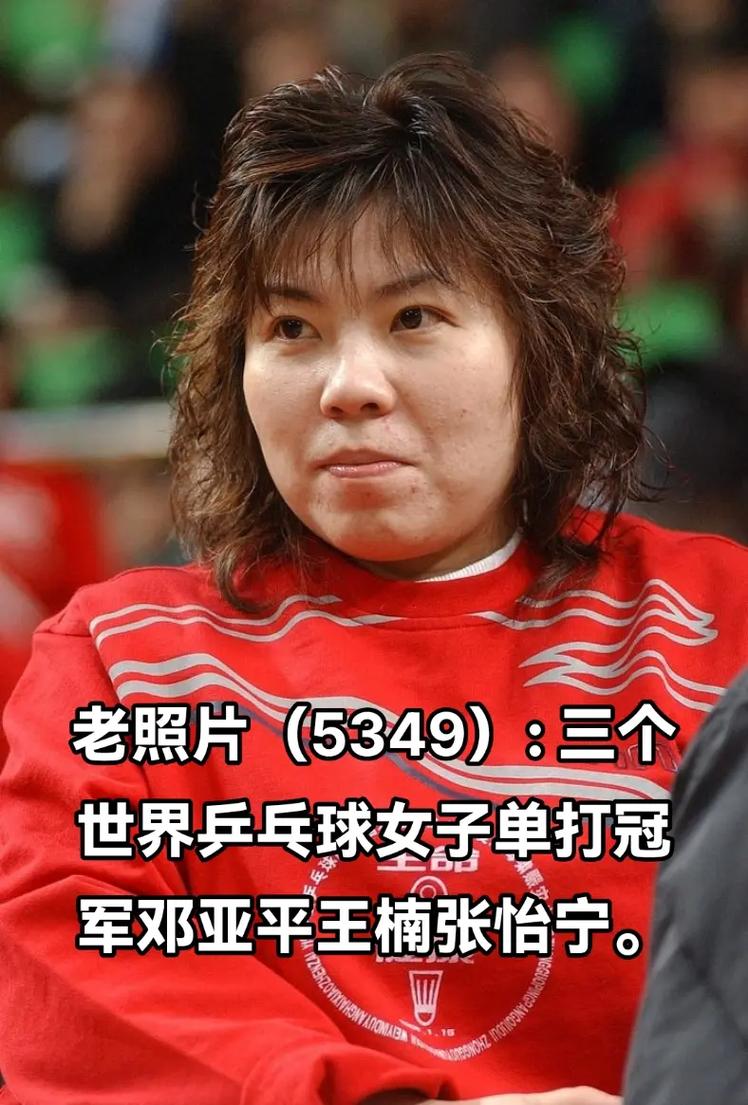 65年世界乒乓球冠军是谁