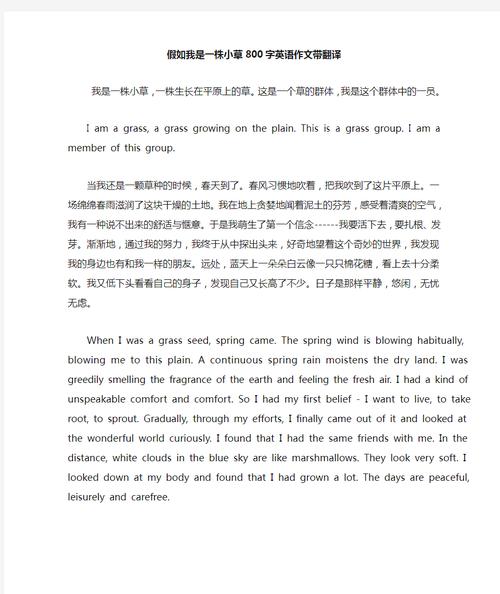 我有时候打半个小时的篮球英语翻译