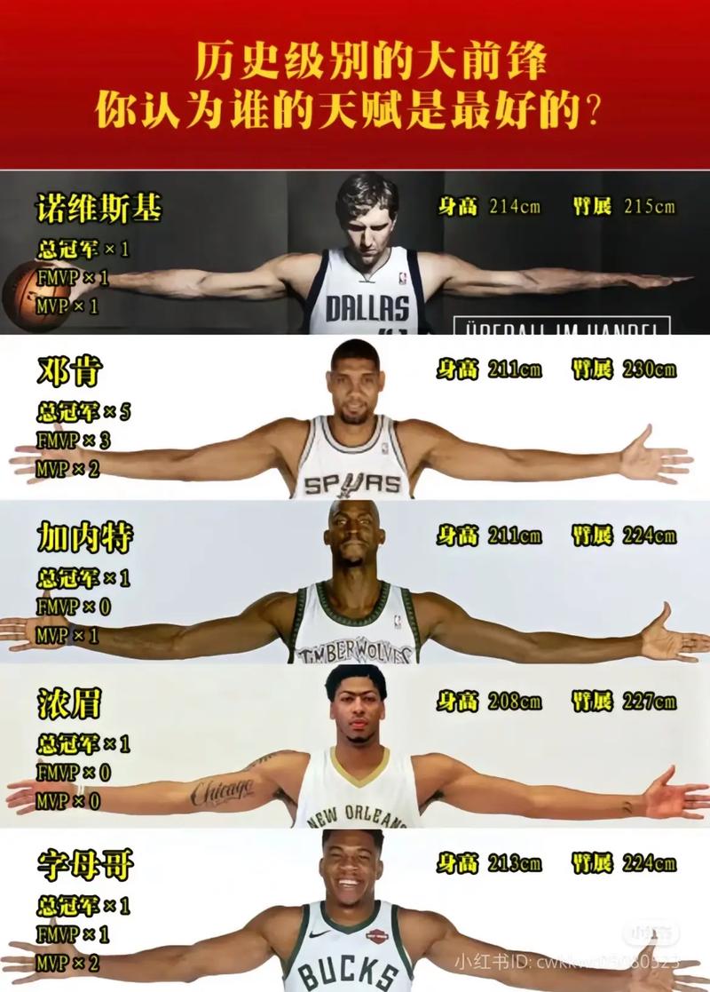 篮球大前锋必学招式