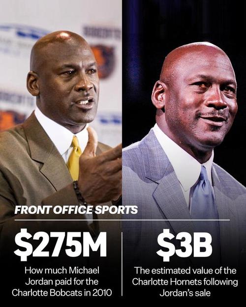 乔丹在黄蜂的股份