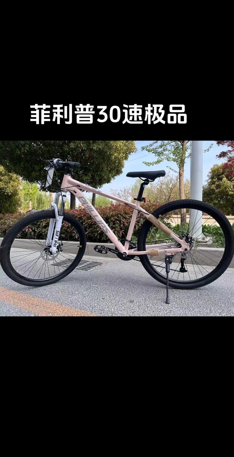 菲利普自行车是贴牌吗