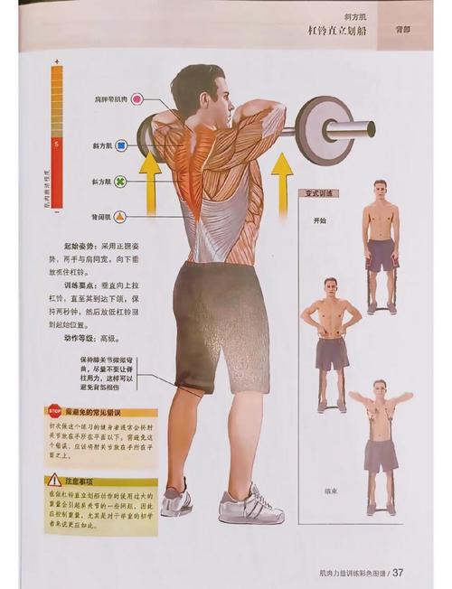 举重规则是什么