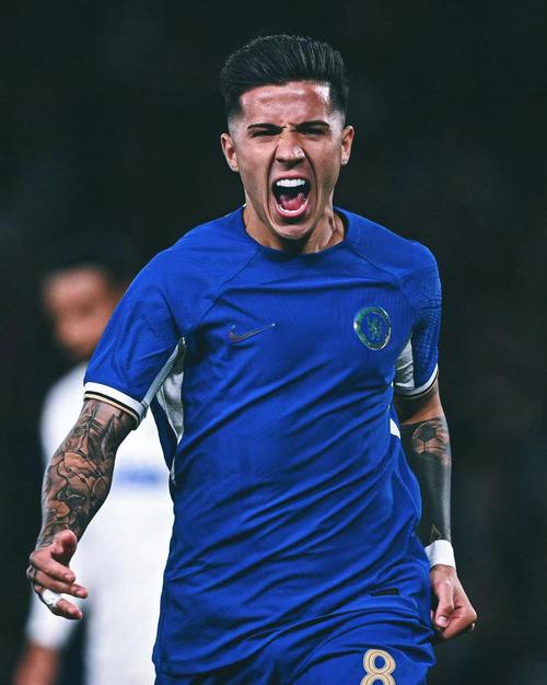 费尔南德斯是nba球员吗现在