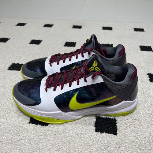 科比5多少钱合适