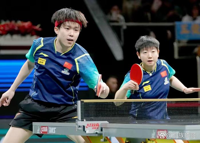 乒乓球世界杯与世乒赛的区别在哪里