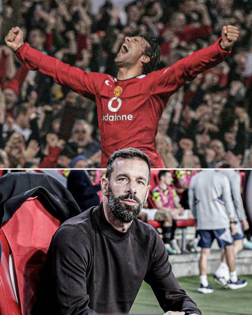 范尼斯特鲁伊巅峰在哪