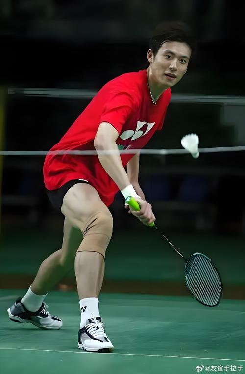 羽毛球世界冠军蔡