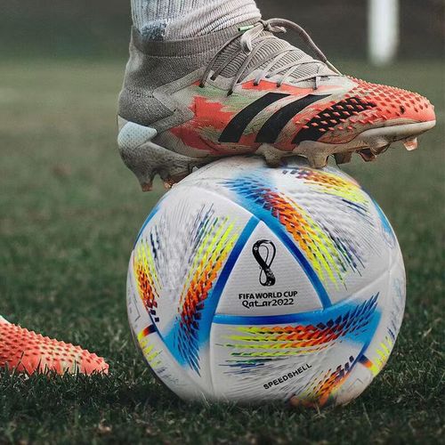 2023世界杯什么时候开始