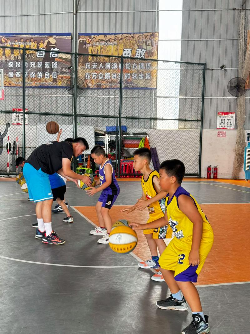 全明星篮球训练营怎么样