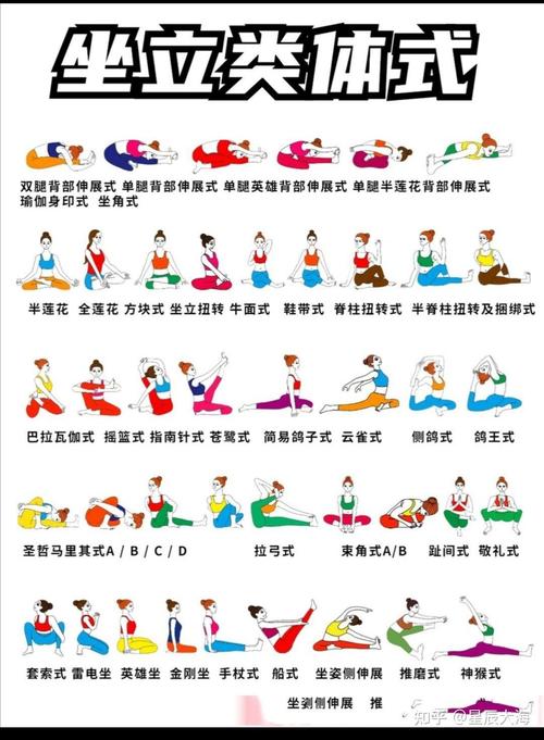 体育运动有哪几种