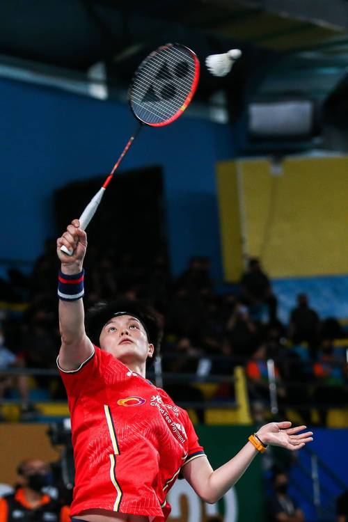 1996年羽毛球奥运冠军