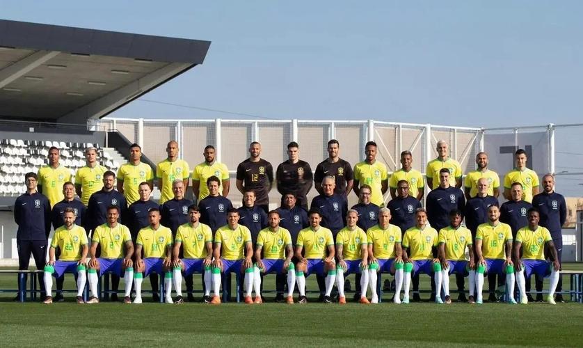 2014年世界杯巴西主力阵容