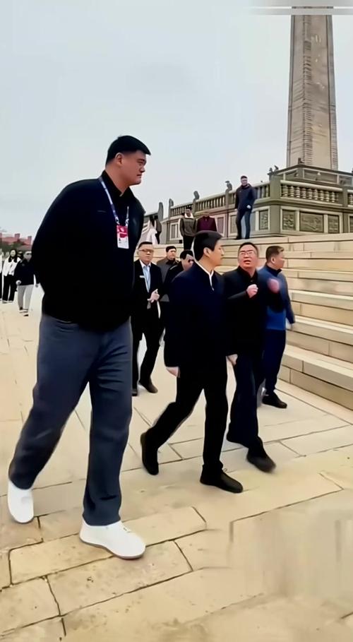 姚明不跳摸高多少