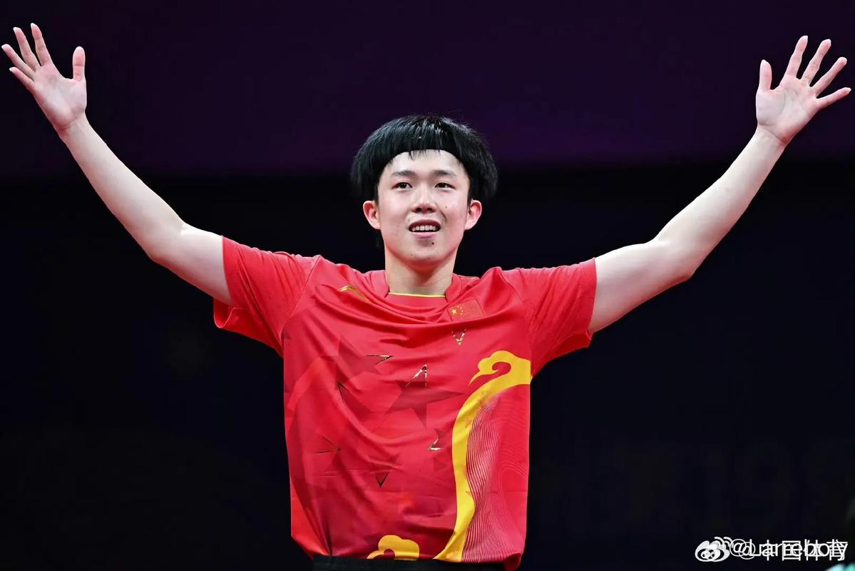 2010亚运会乒乓球男单