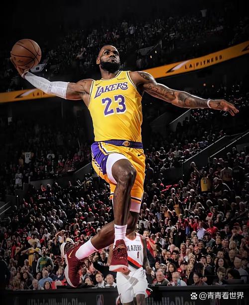 勒布朗几次进总决赛