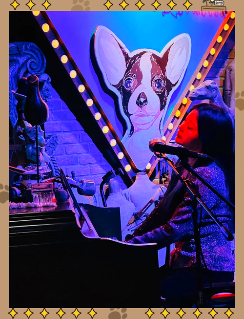 听爵士乐的人的品味怎样形容