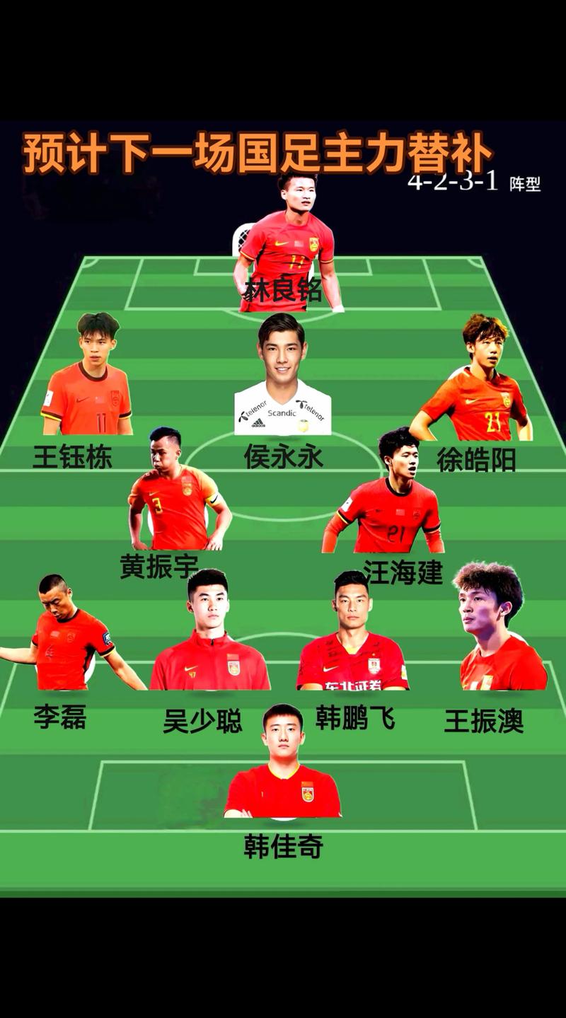 球队是由哪些人员组成