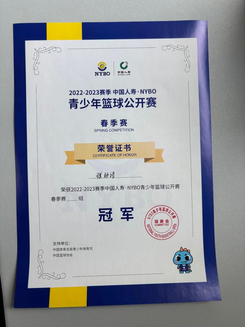 2016奥运会篮球赛果