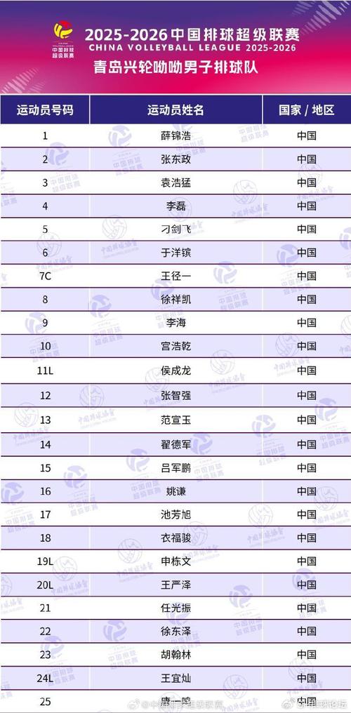 奥运会男排有几支球队参赛