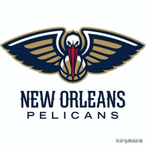 鹈鹕队以前叫啥