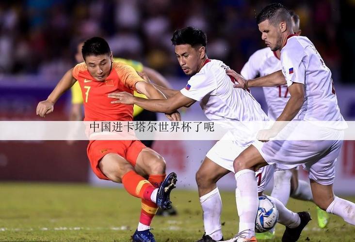 中国可以进卡塔尔世界杯