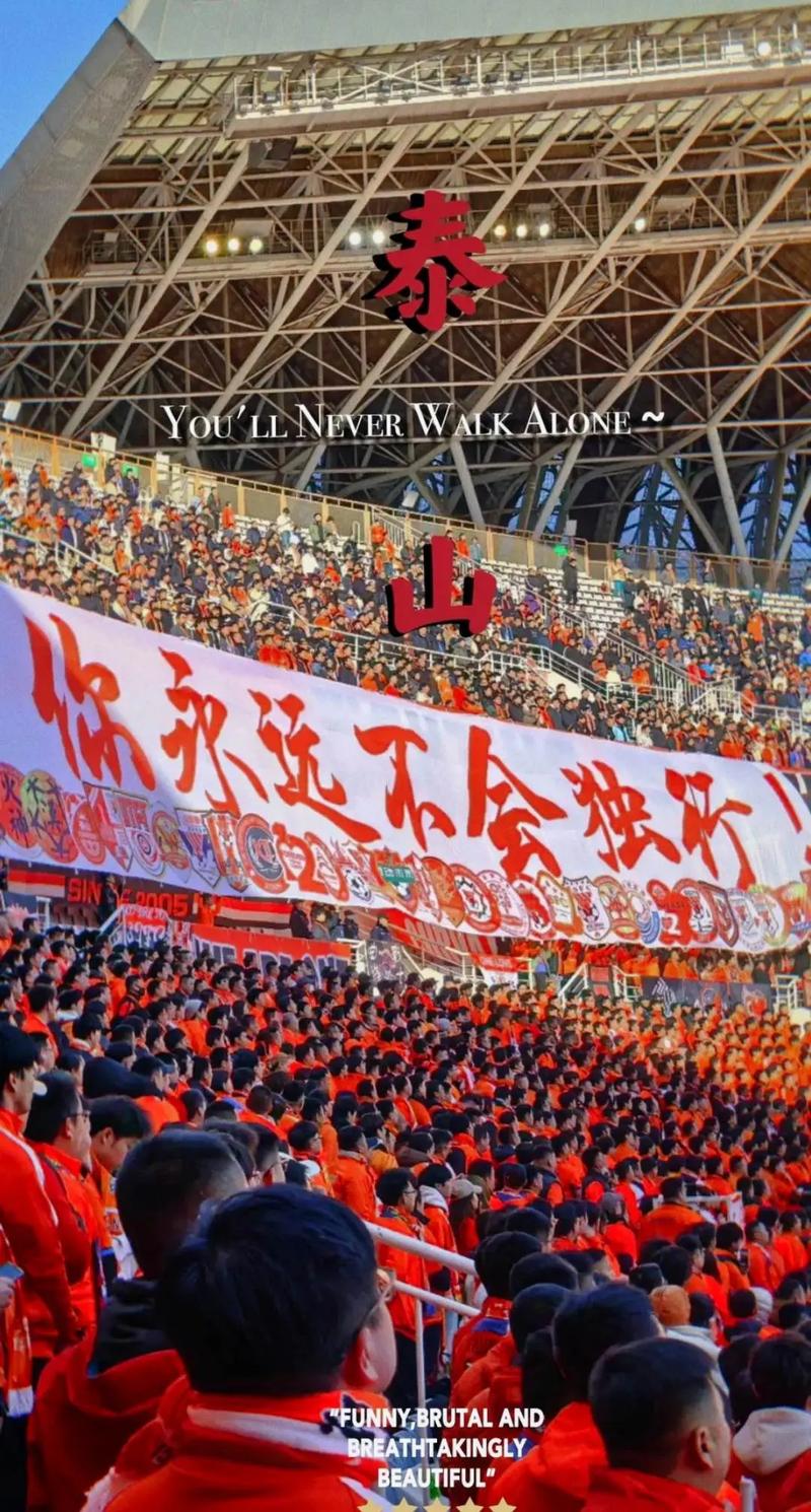 鲁能泰山比赛日