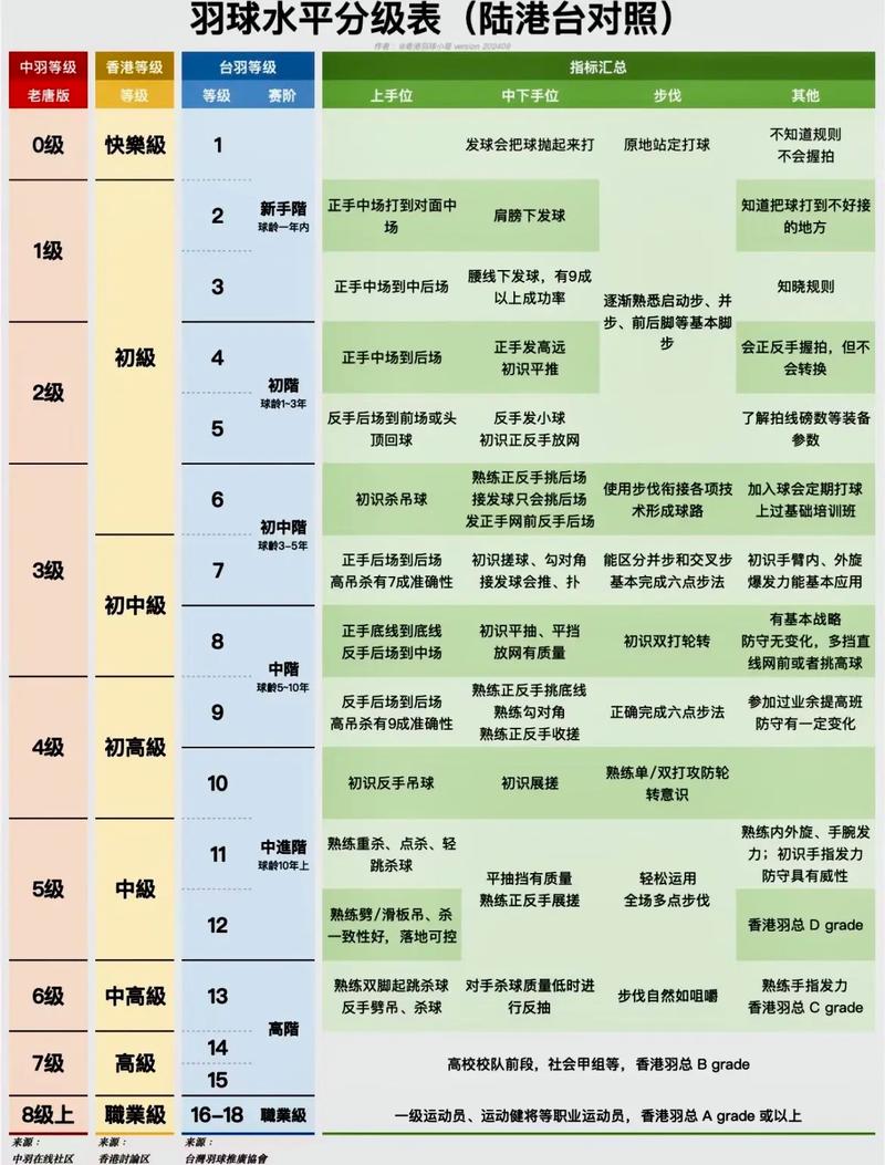羽毛球高高手级别