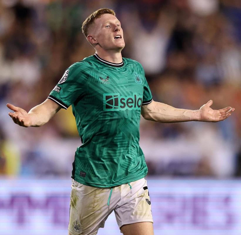 詹姆斯·e·安德森