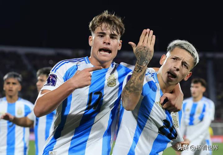 2002年世界杯阿根廷小组赛：南美雄鹰的悲喜征程